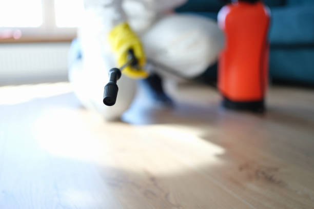 Best Emergency Mold Remediation  in Mendon, UT