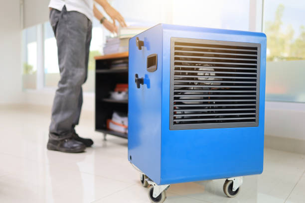 Best Mold Removal for HVAC Installations  in Mendon, UT